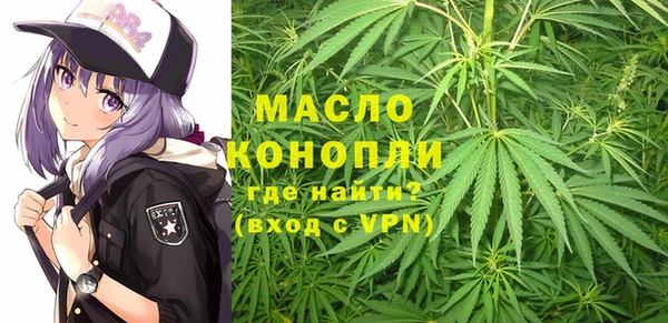 дживик Володарск