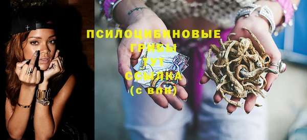дживик Володарск
