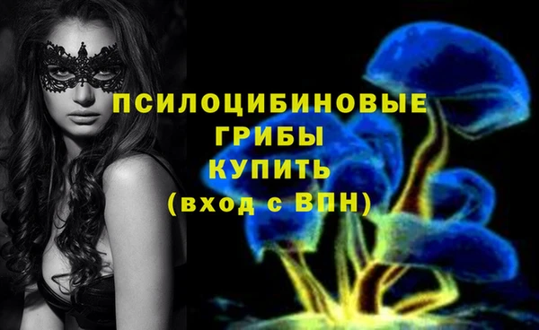 ешки Семикаракорск