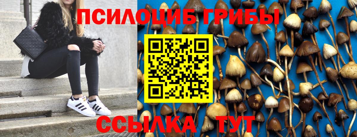 Псилоцибиновые грибы мицелий Снежинск